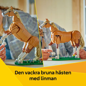 V2HBDB338406AB88904A25CBDCE976A66B8R6852819P4