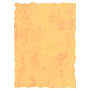 V6HDC2DFE519E1CF0079BEE36ADBDD4084BR4220502P1
